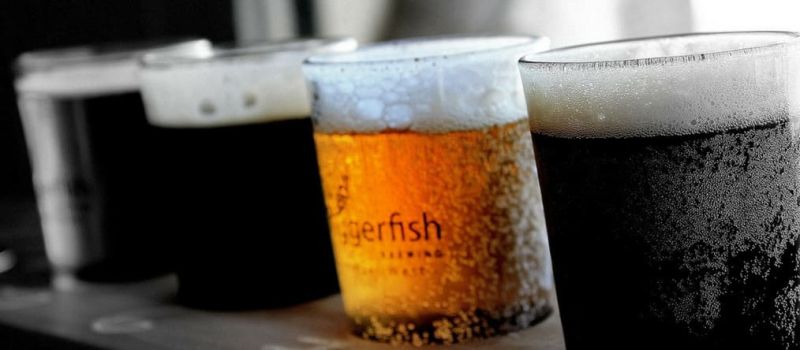 Photo for: Insights On Australian Craft Beer Industry