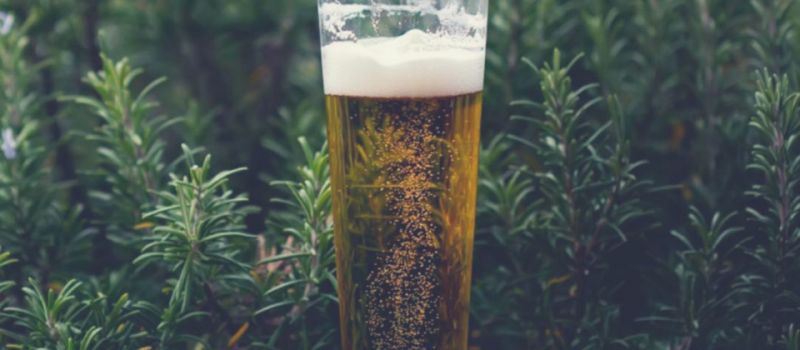 Photo for: Strong Premium Lager From New Zealand