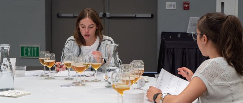 Photo for: USA Beer Ratings Announces 2019 Results